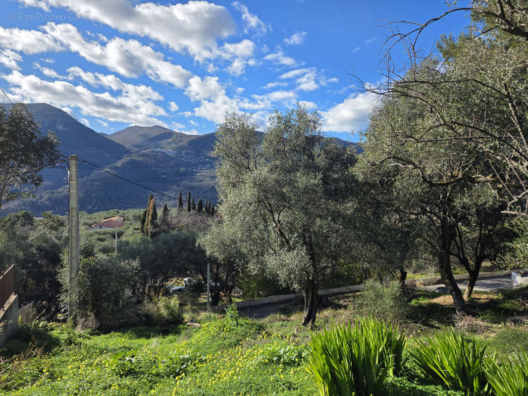 Terrain à SAINT-MARTIN-DU-VAR