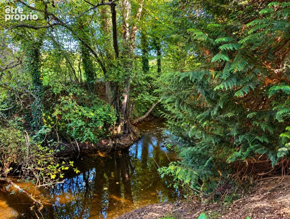 Manoir  xviiième avec piscine et sa maison d'amis  près du haras du pin - photo 11