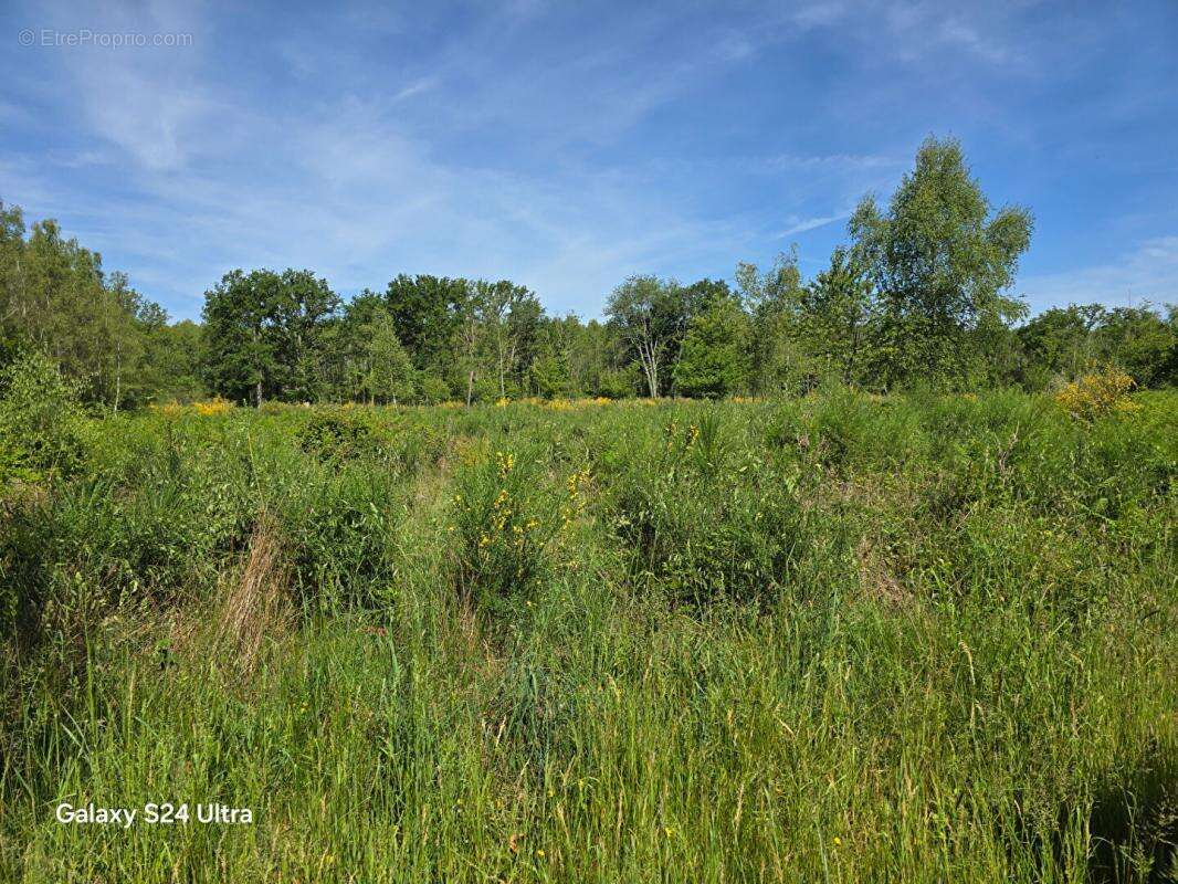 Terrain à MONTEREAU