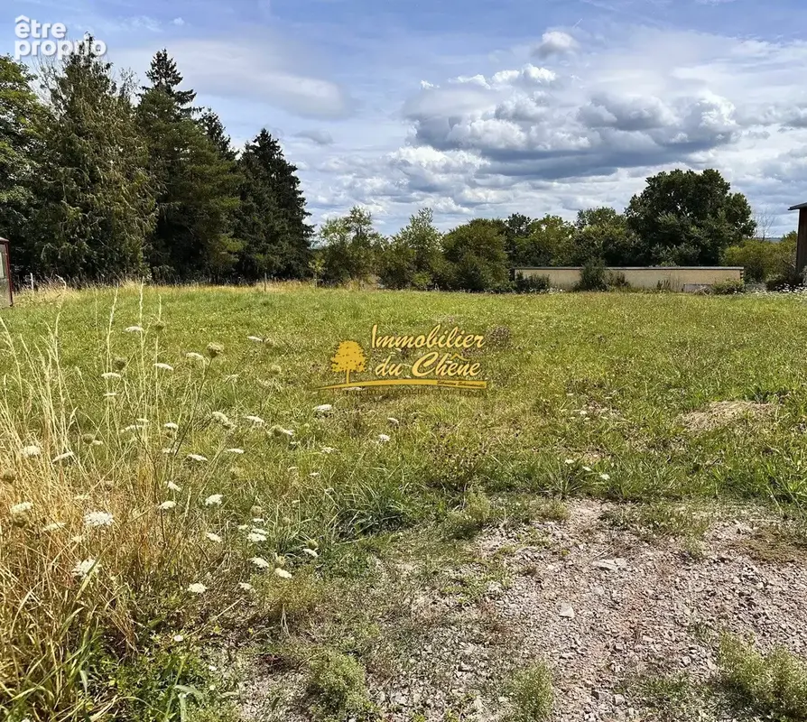 Photo Terrain à Abelcourt au prix de 28 500€