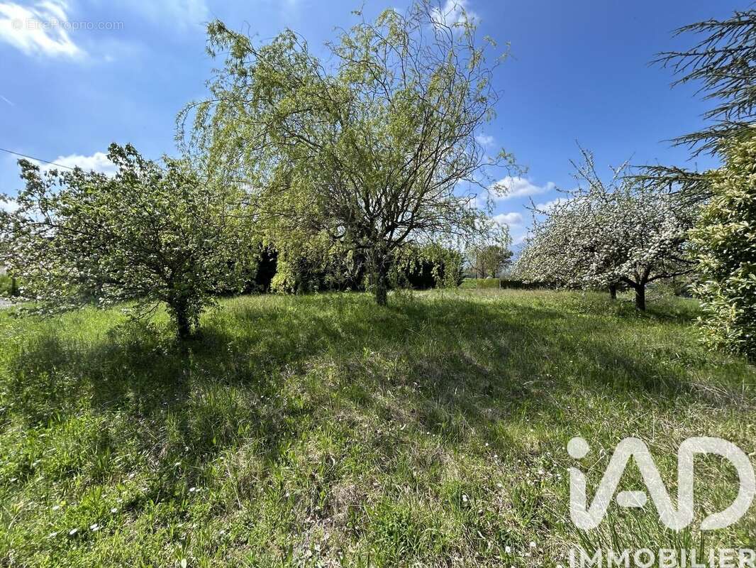 Photo 3 - Terrain à VIRY