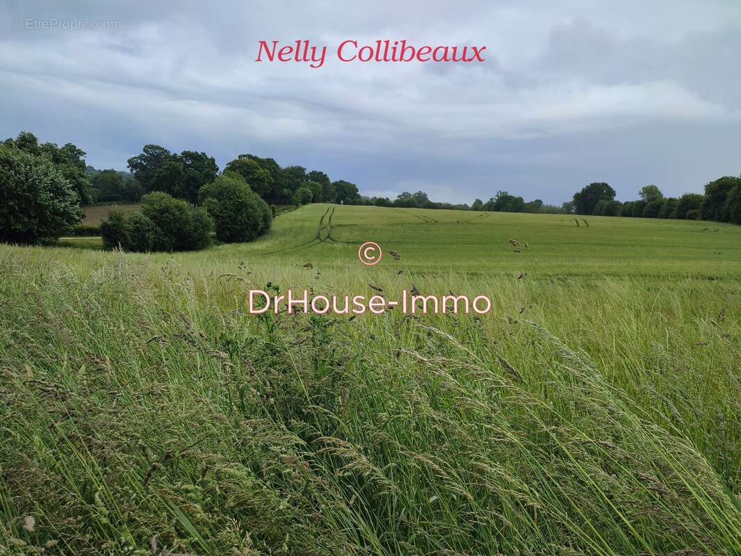 Terrain à LA LANDE-PATRY