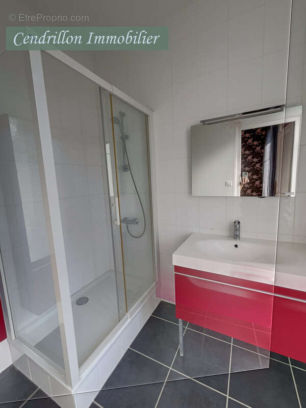 Belle maison bourgeoise entièrement rénovée, 350m2 habitables,  sur son parc de 4000m2 au cœur de la ville - photo 17