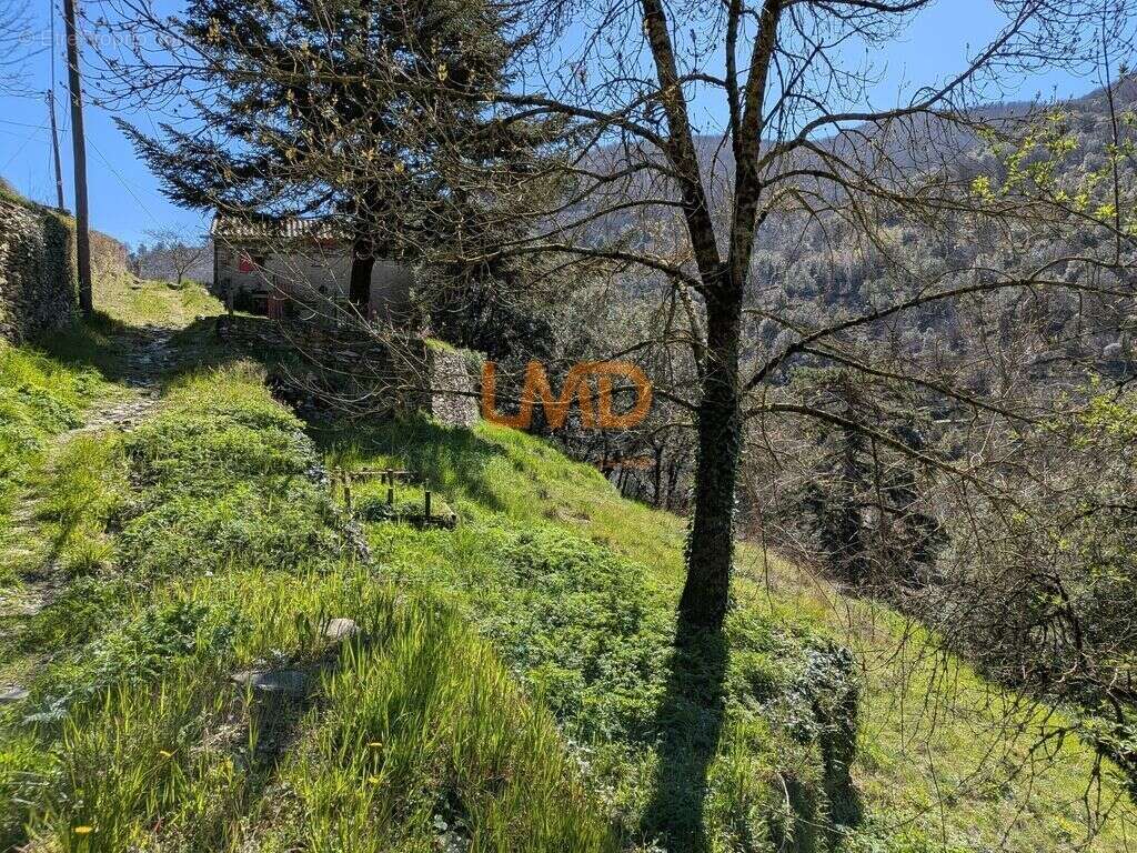 Maison en pierre - Vue panoramique - Terrain - photo 17