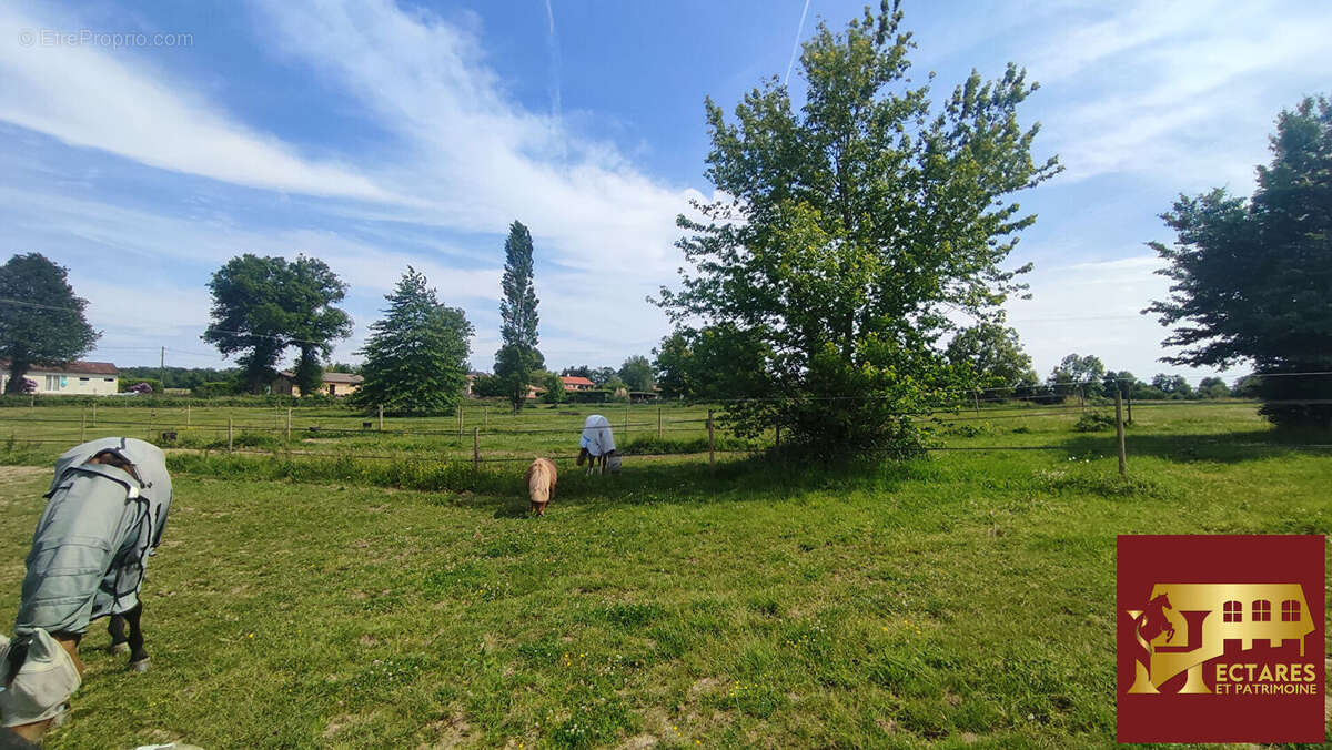 Maison à CHANOZ-CHATENAY