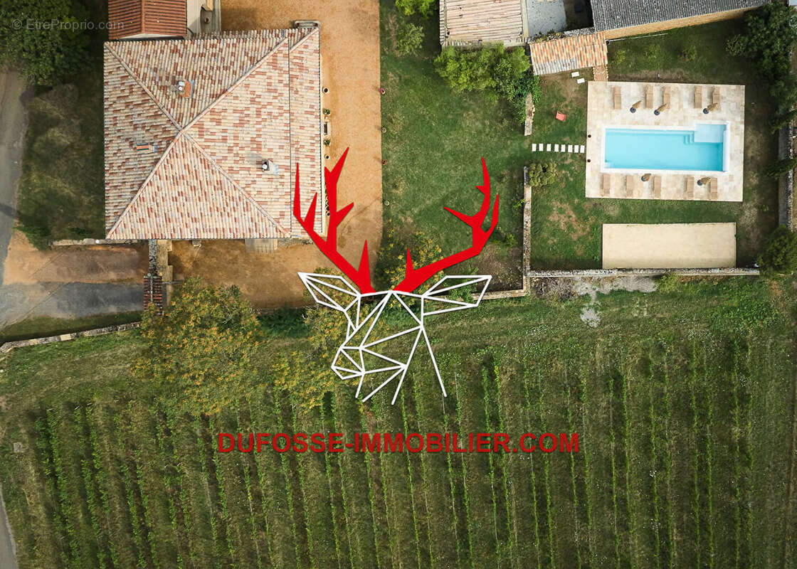 Maison à POUILLY-LE-MONIAL
