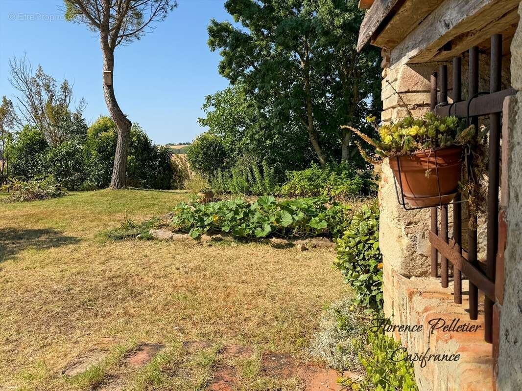 Maison à vendre 3 pièces CUQ TOULZA (81) - Terrain de 9 900 m² et dépendances - photo 19