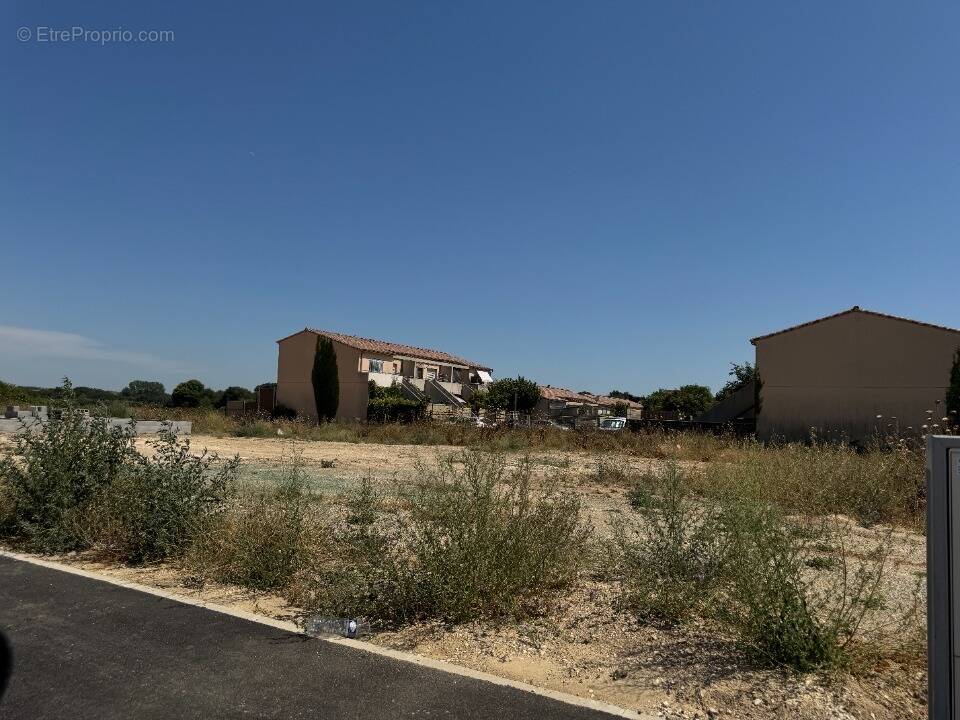 Terrain à LE CAILAR