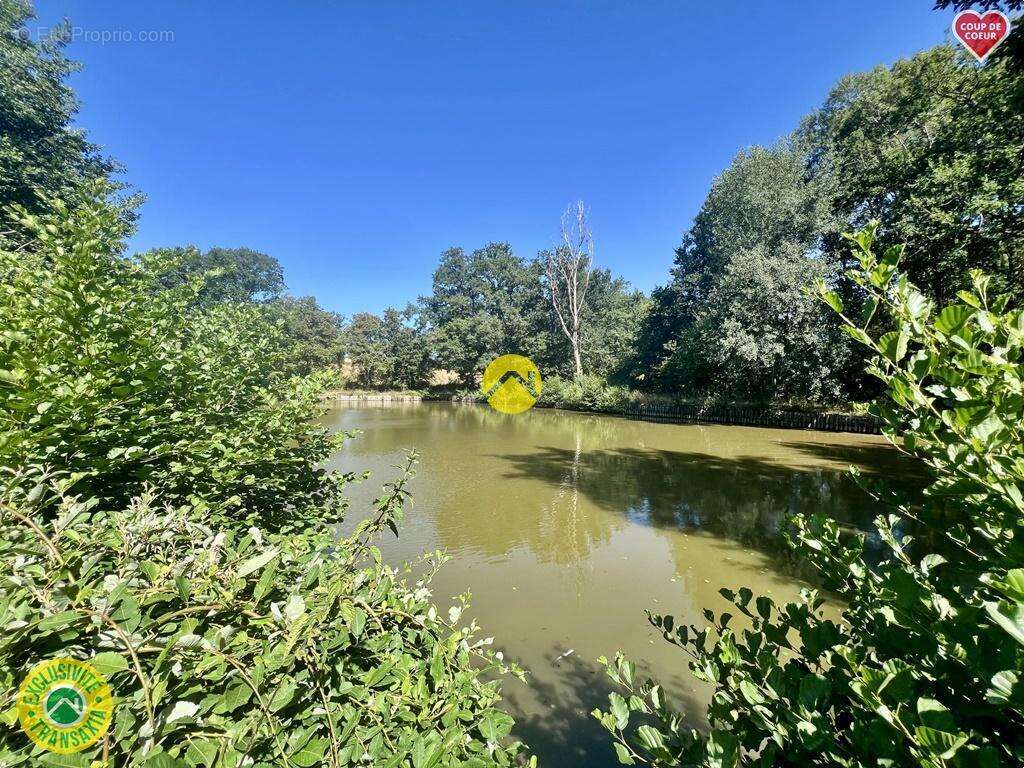 100% isolée avec etang - photo 3
