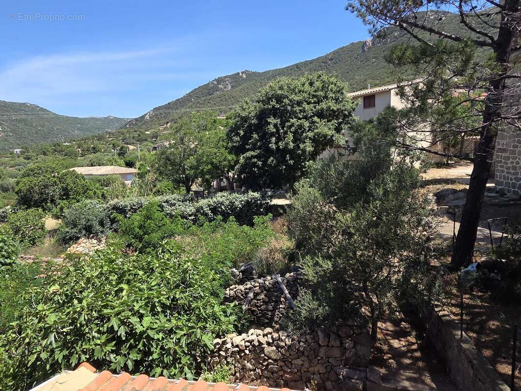 Appartement à MONACIA-D'AULLENE
