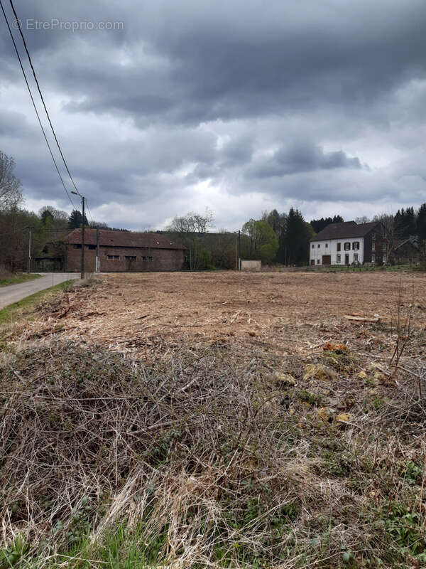 Terrain à LA PETITE-RAON