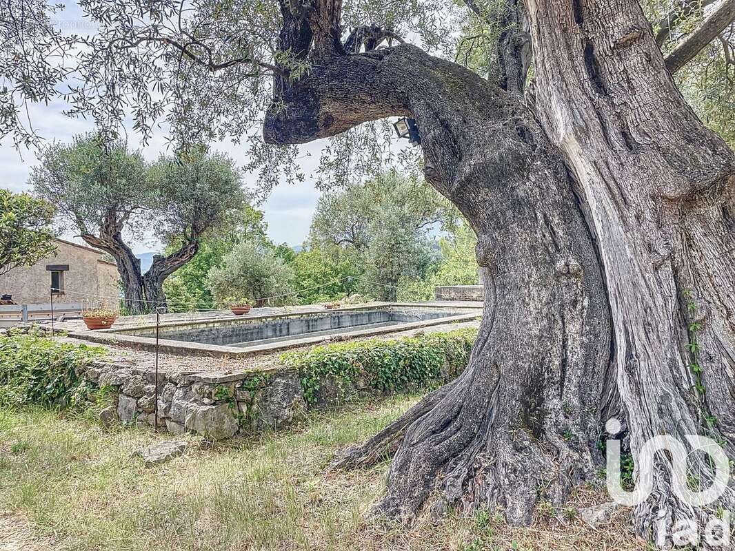 Photo 7 - Maison à FAYENCE