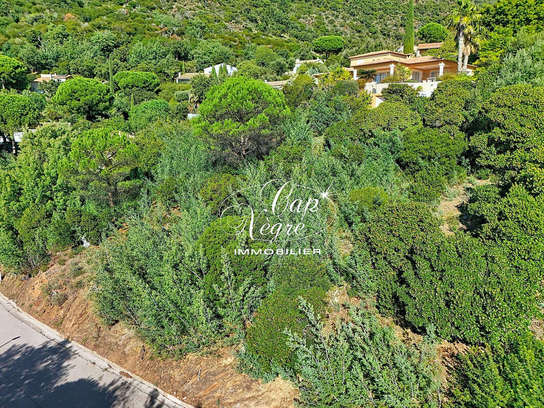 Terrain à LE LAVANDOU