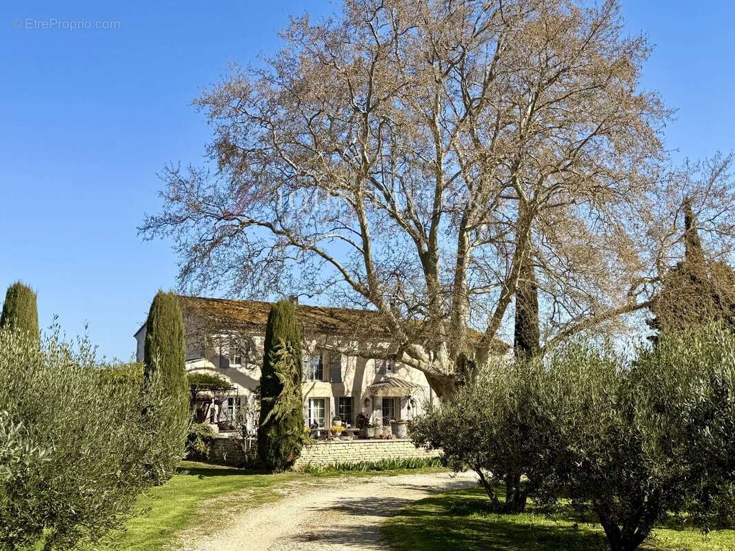 Un mas d'exception aux portes du Luberon. - photo 11