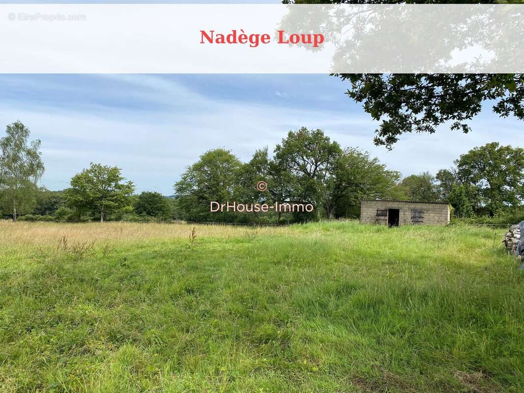 Maison 310 m² à Sainte-Colombe-Sur-Loing  - photo 17