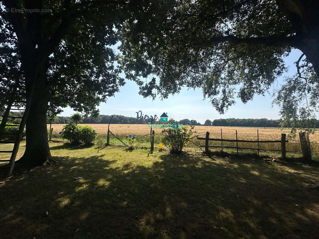 Terrain à LILLEBONNE