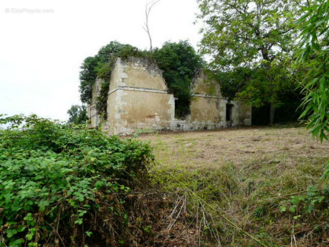 Ancienne Maison de Maître terre et bois 6 Ha - photo 20