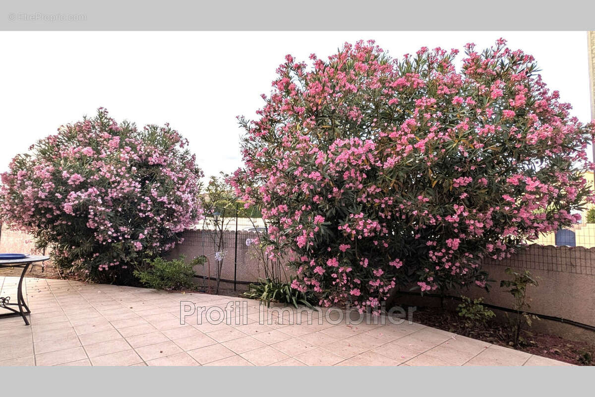 Maison à MARSILLARGUES