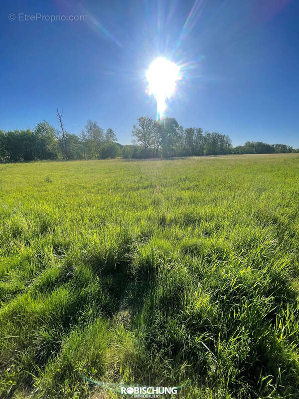 Terrain à MAGNY