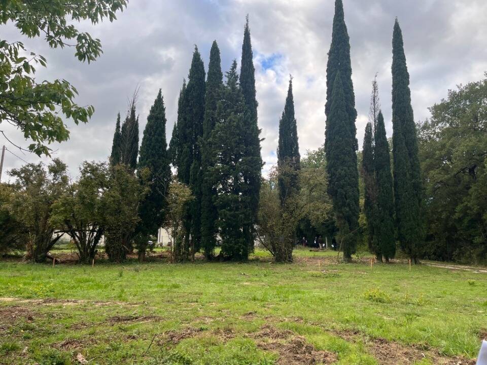 Terrain à MALATAVERNE