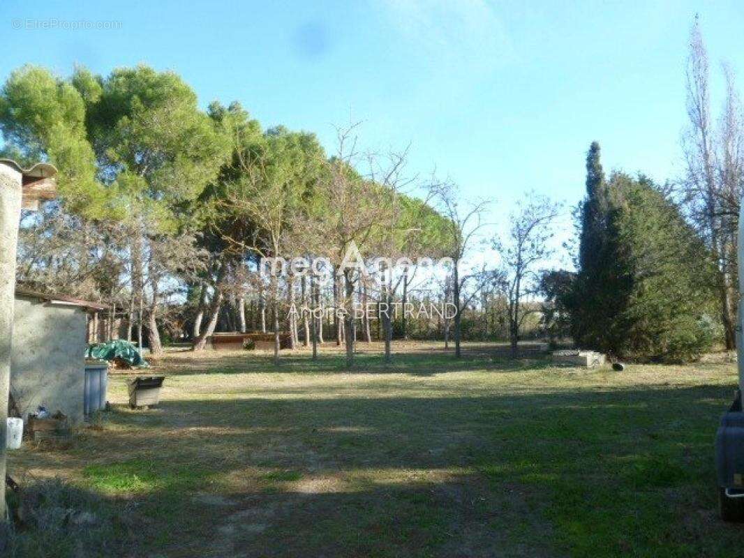 Maison à COLOMBIERS