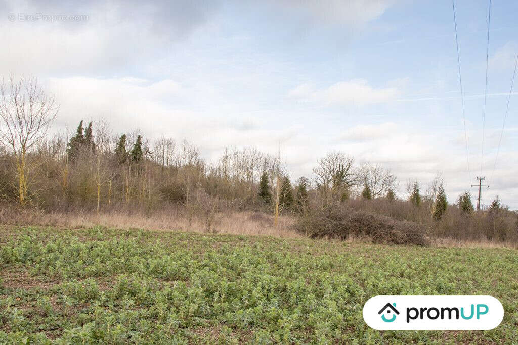 Terrain à SOREL-EN-VIMEU