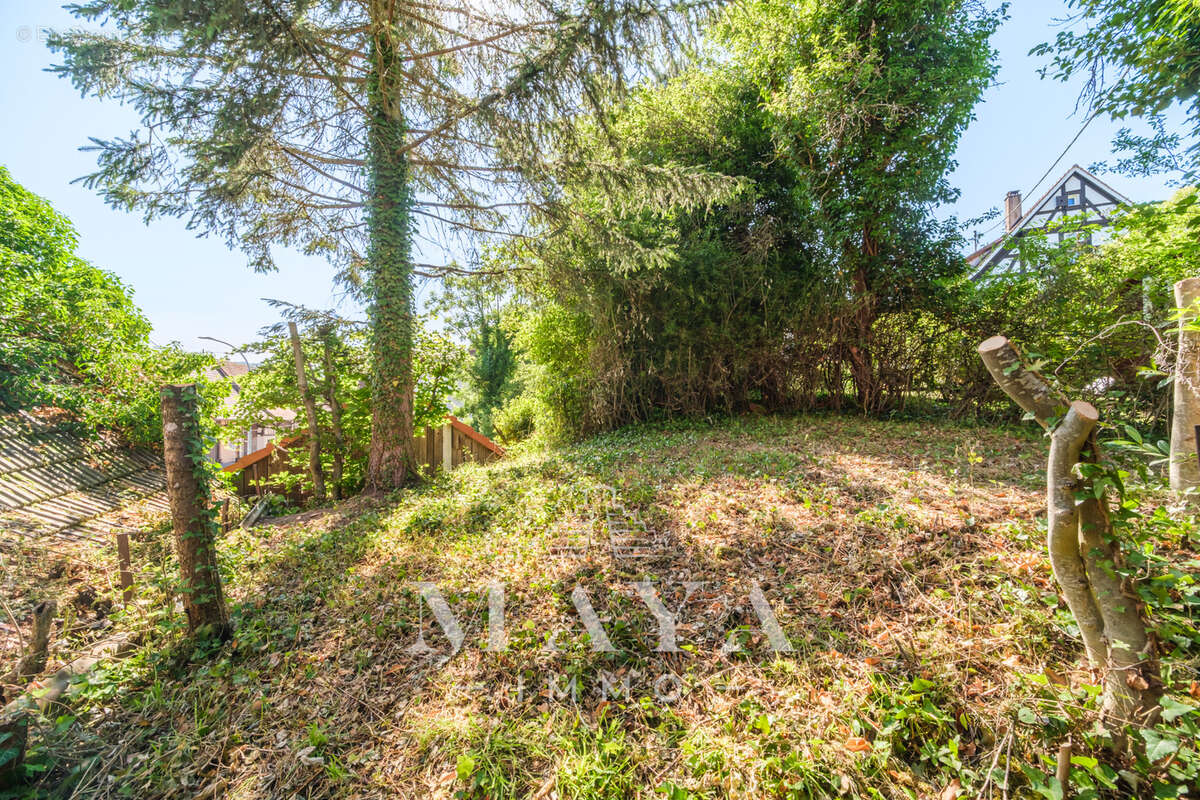 Maison à RAEDERSDORF