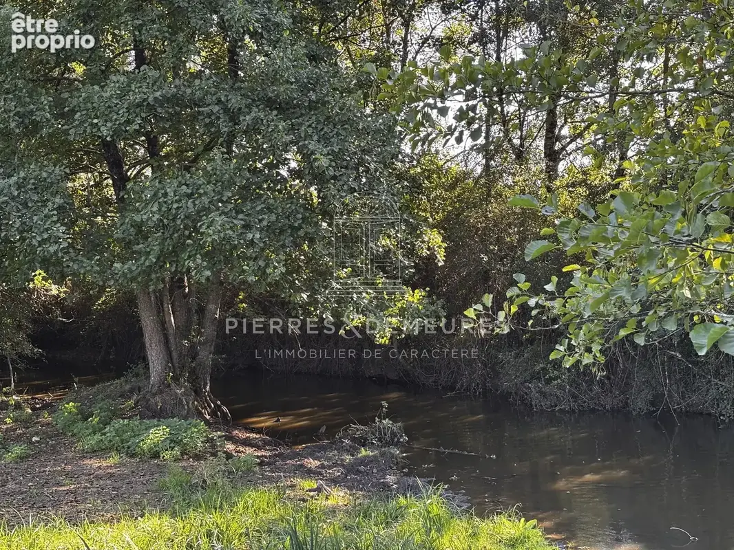 Domaine avec manoir et ses annexes sur 176ha de prairie et bois - photo 29