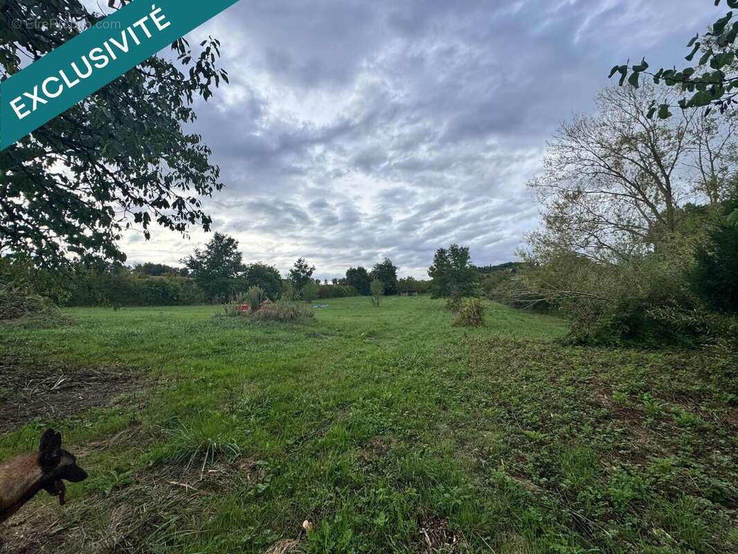 Photo 7 - Maison à CLAIRAC