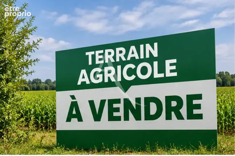 Terrain st julien 46773m2 agricole et loisirs - photo 4