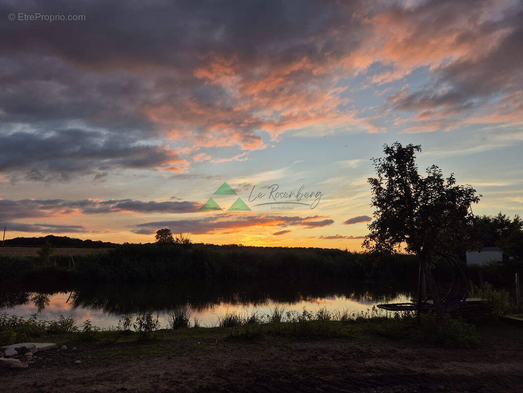Terrain à VIEUX-FERRETTE