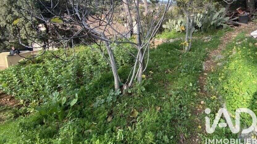 Photo 4 - Maison à TOULON