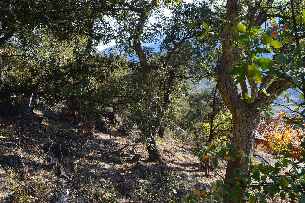 Terrain à ARLES-SUR-TECH