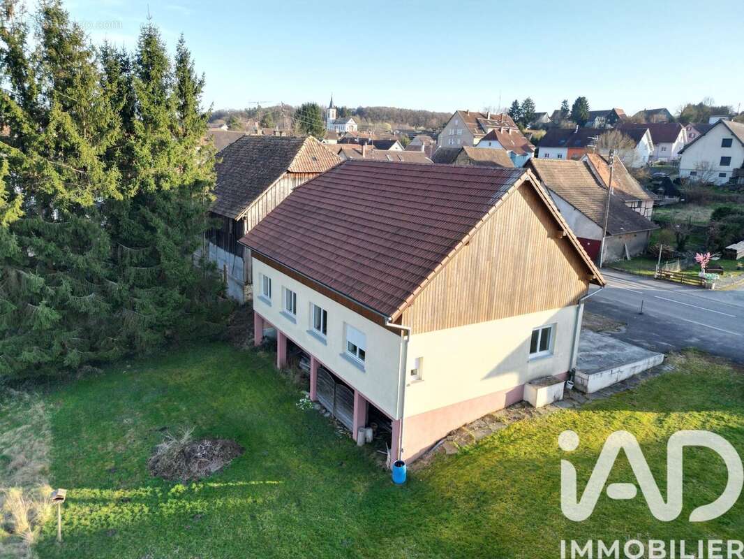 Photo 2 - Appartement à SEPPOIS-LE-BAS