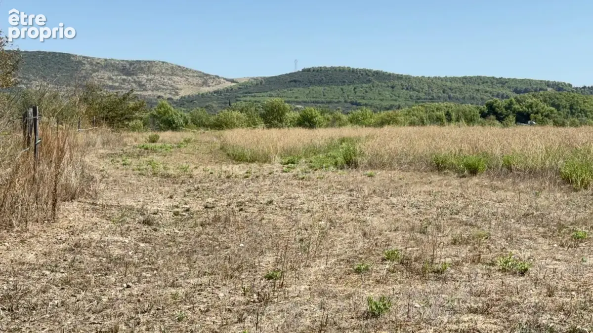 Bassin de Thau - charmante propriété sur 4,5 hectares - photo 12