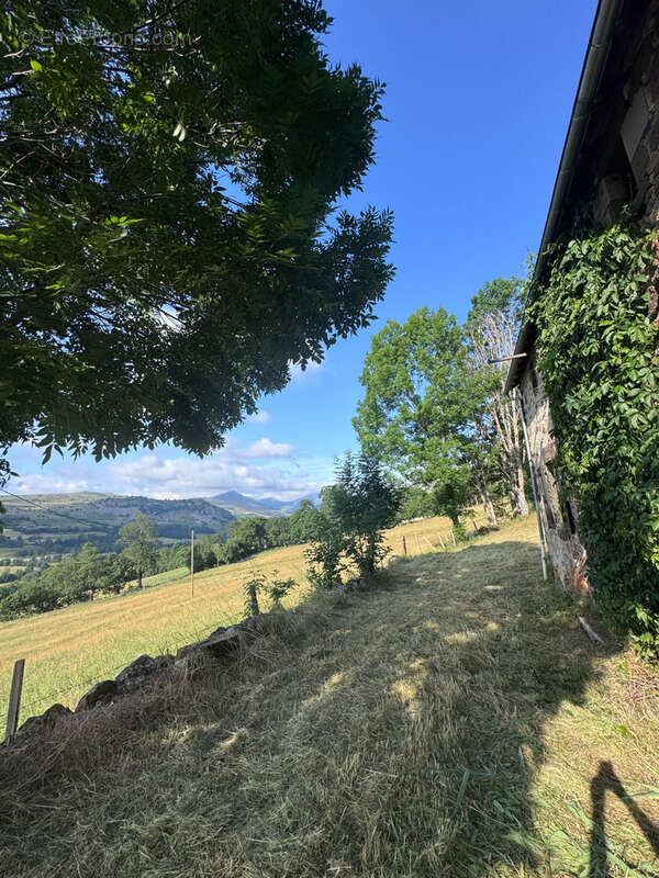 Corps de ferme rénové, 1272 m2 de terrain et jolie vue dégagée Secteur Puy Mary - photo 26
