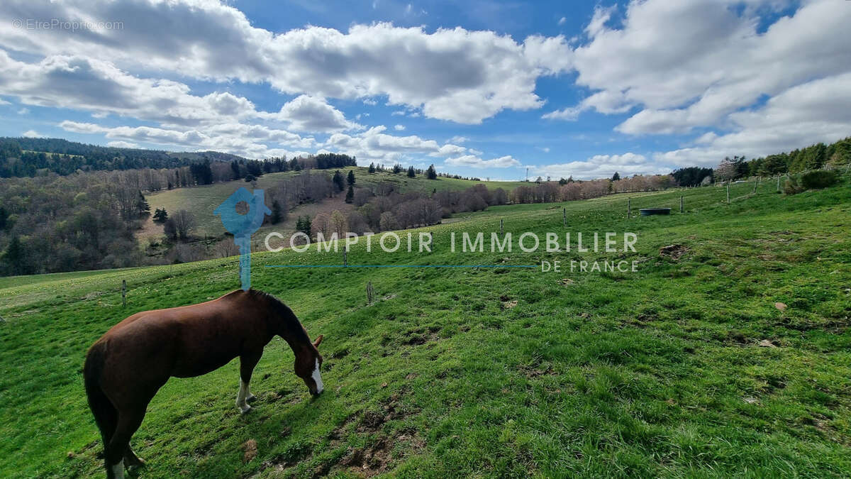 Maison à LE LAC-D'ISSARLES