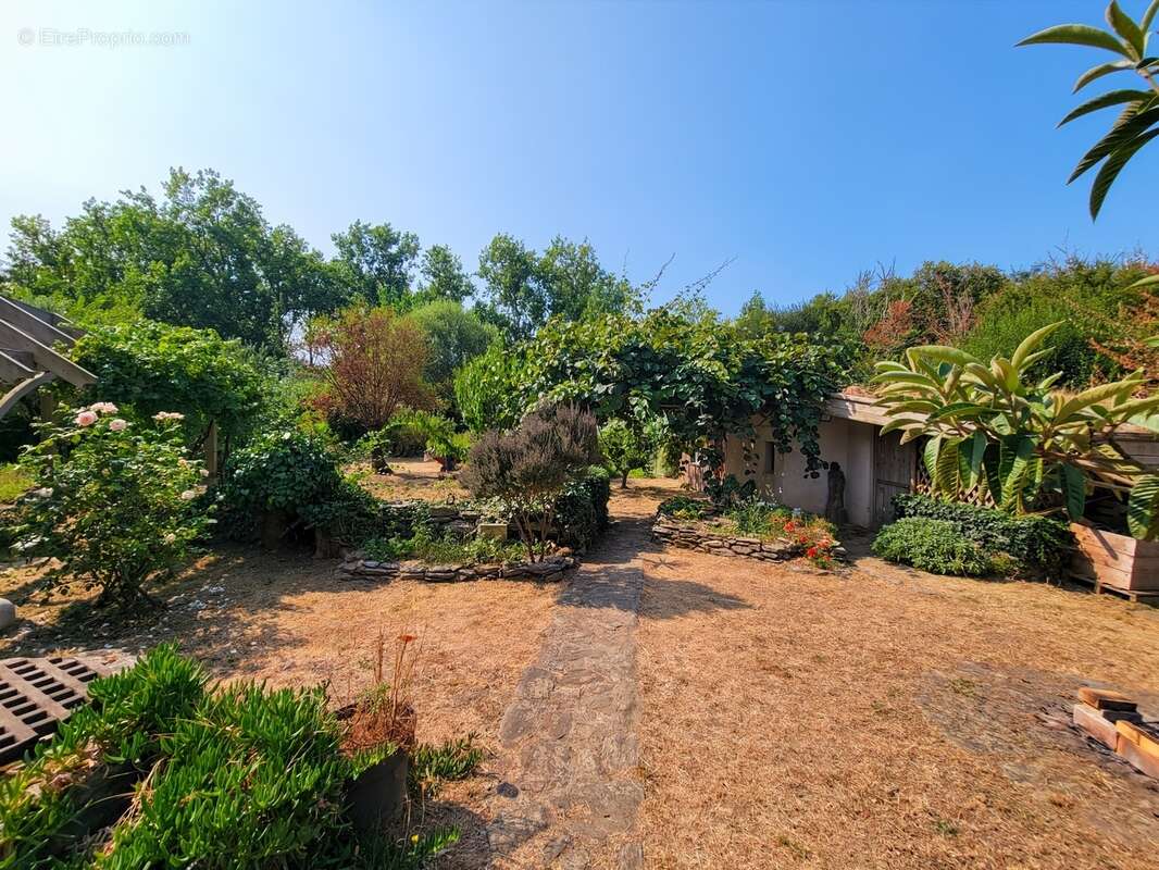ILE DE GROIX - Domaine 9600m2, 2 habitations. Maison de154m2 sortie d'un livre d'aventure! - photo 16