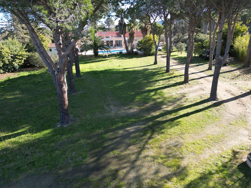 Terrain à LAROQUE-DES-ALBERES