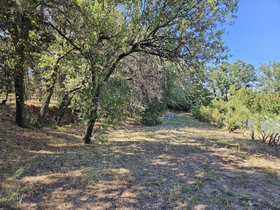 Terrain à ROQUEBRUNE-SUR-ARGENS