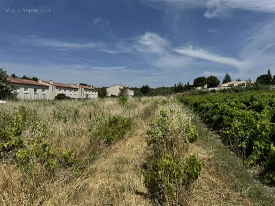 Terrain à MAZAN