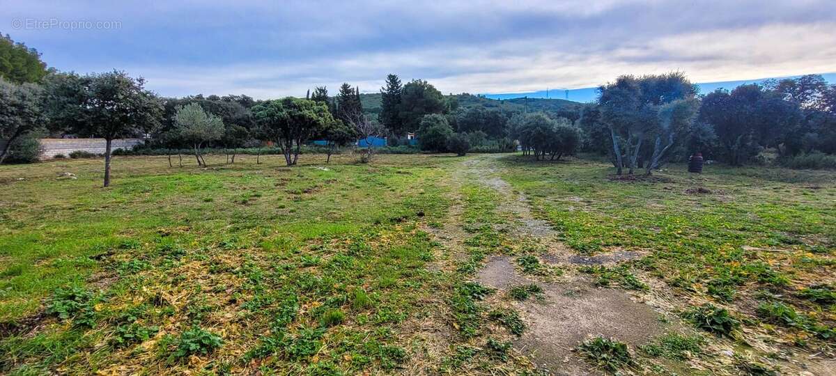 Maison à BALARUC-LE-VIEUX