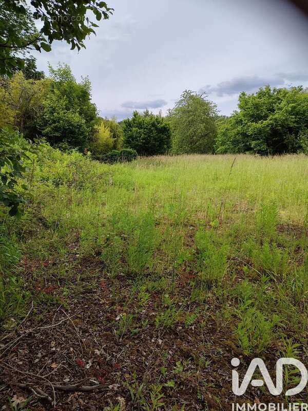 Photo 3 - Terrain à MONTIGNY-SUR-LOING