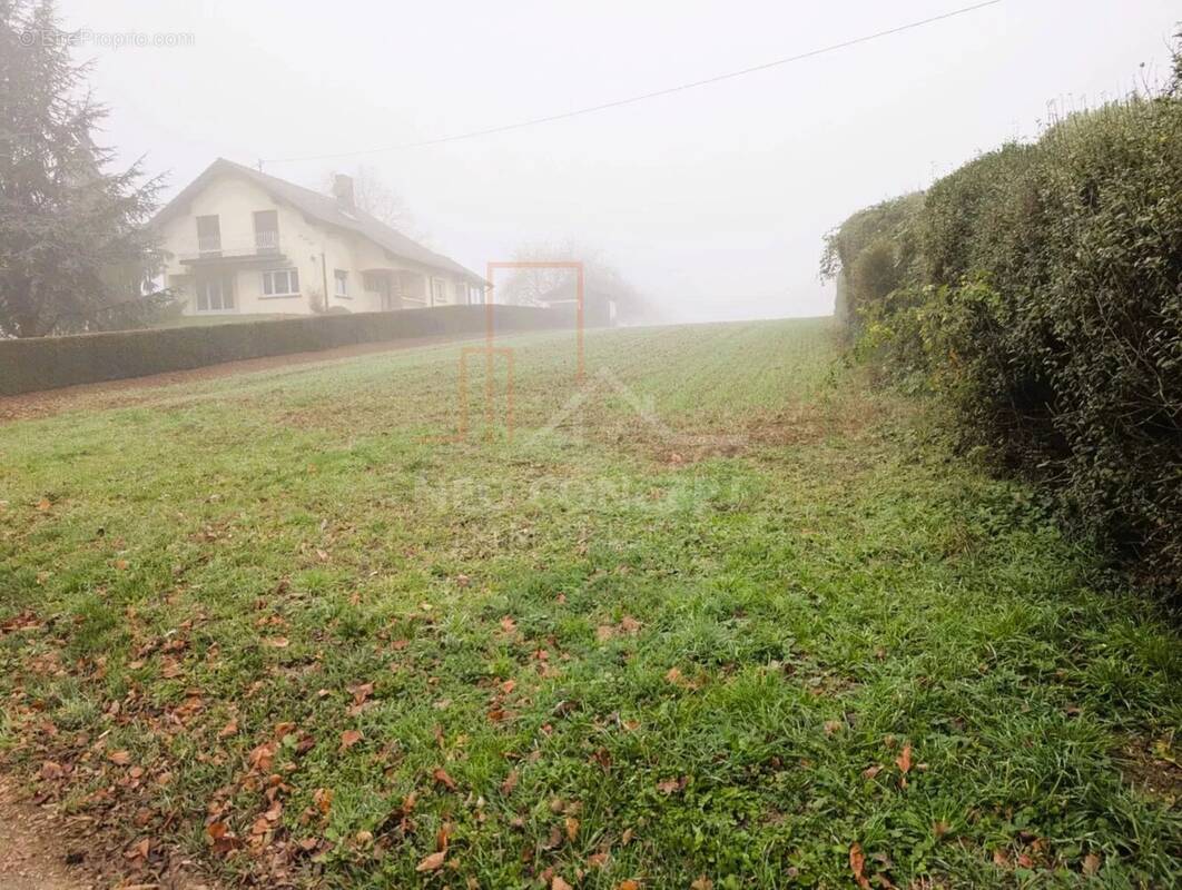 Terrain à HUTTENDORF