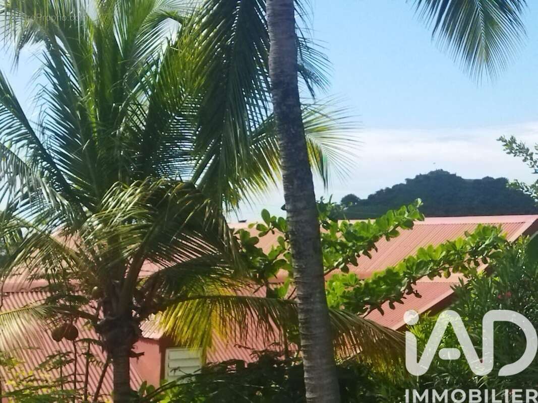 Photo 2 - Appartement à SAINT-MARTIN