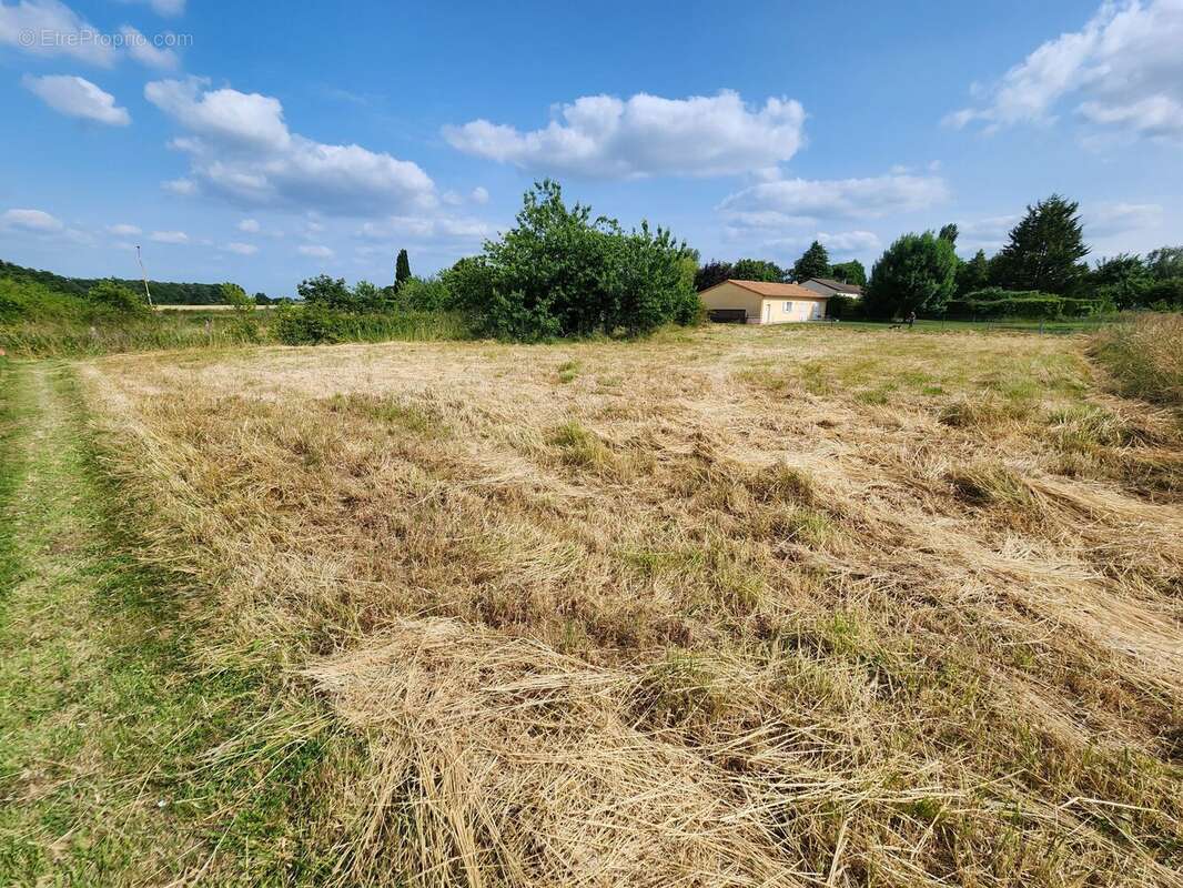Terrain 1241 m² à Saint-Julien-L'ars  - photo 3