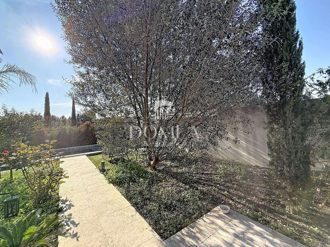 Maison à CASTELNAU-LE-LEZ