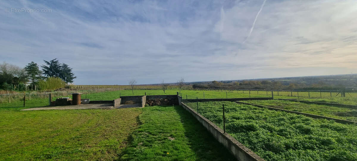 Maison à BEAULIEU-SUR-LAYON