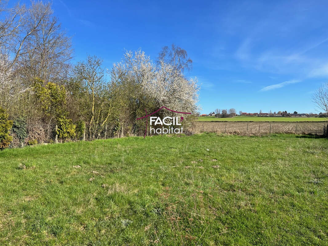 Terrain à LEFOREST