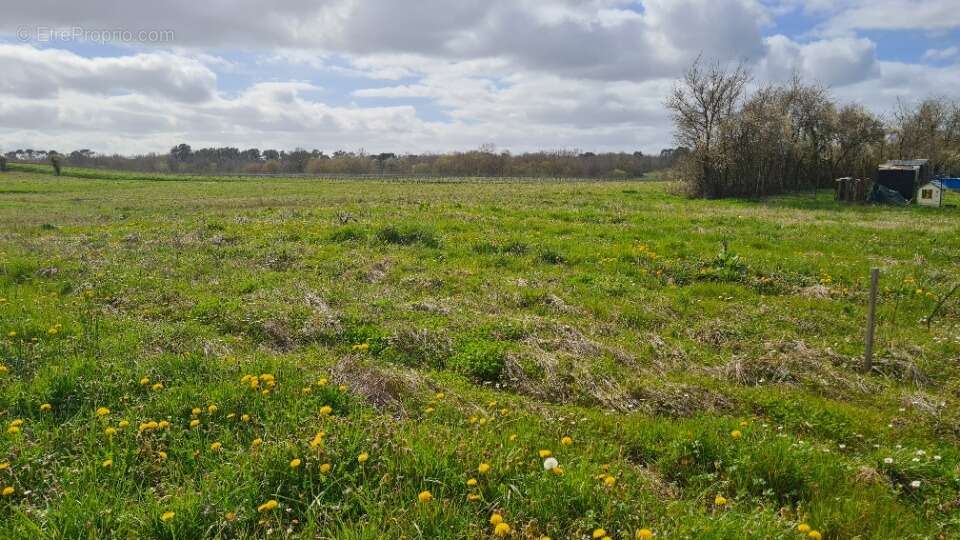 Terrain à BAIGNEAUX